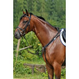 Stübben elasztikus szügyhám+martingál r. Stübben elasztikus szügyhám+martingál r.