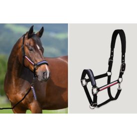 Tommy H. Yale kötőfék + vezetőszár SS26