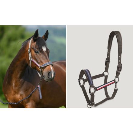 Tommy H. Yale kötőfék + vezetőszár SS26