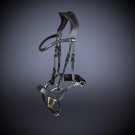 Anatomic bridle