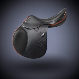 Saddle