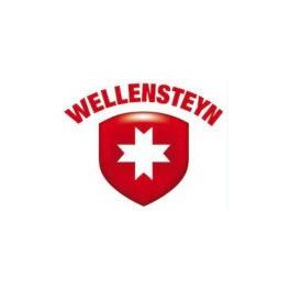 Wellensteyn