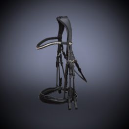 Dressage bridle