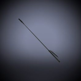 Whip, riding stick