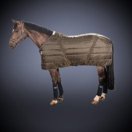 Stable blanket