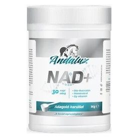 Andaluz NAD+ por Andaluz NAD+ por
