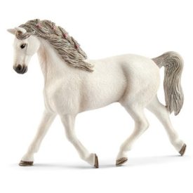 Schliech Holstein mare