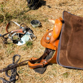 A LOVAS FELSZERELÉSEK ÁPOLÁSA