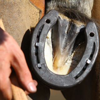 PATAISKOLA - 1. RÉSZ